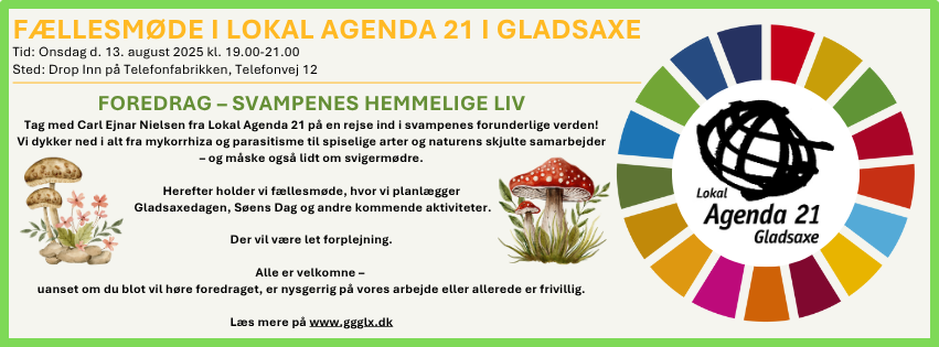 Copy of Dagsorden – Fællesmøde – 8. maj 2025 (Facebook Cover)